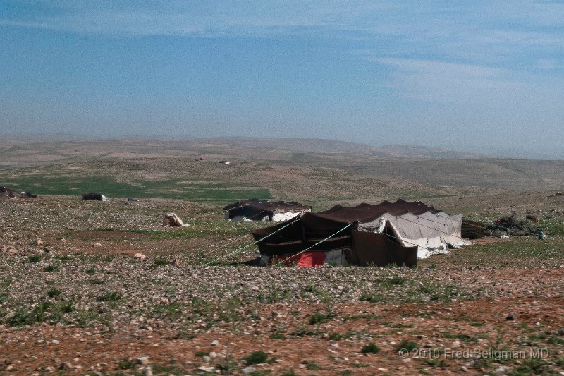 20100412_100620 D300.jpg - Bedoin tents, Jordan